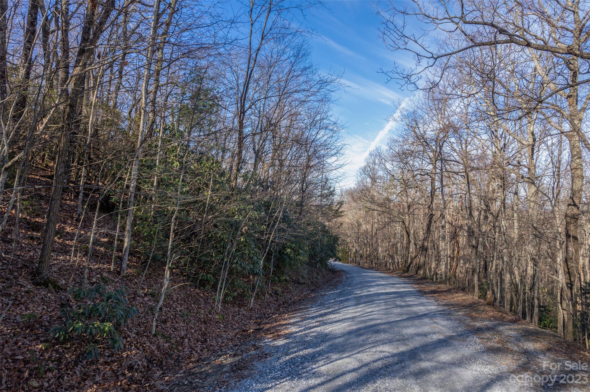 0 Melrose Mountain Road, Unit 615 &616 Tryon, NC 28782 - Photo 3 of 13
