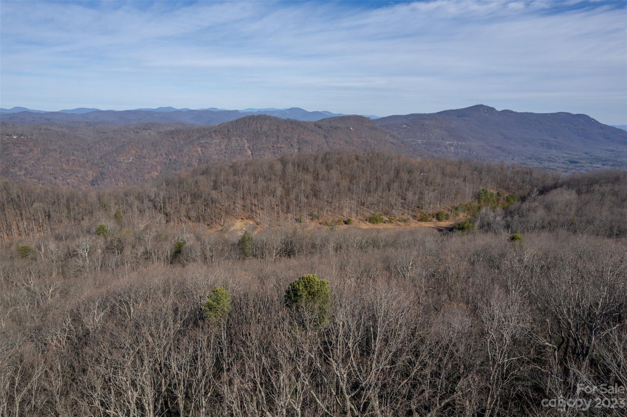 0 Melrose Mountain Road, Unit 615 &616 Tryon, NC 28782 - Photo 6 of 13