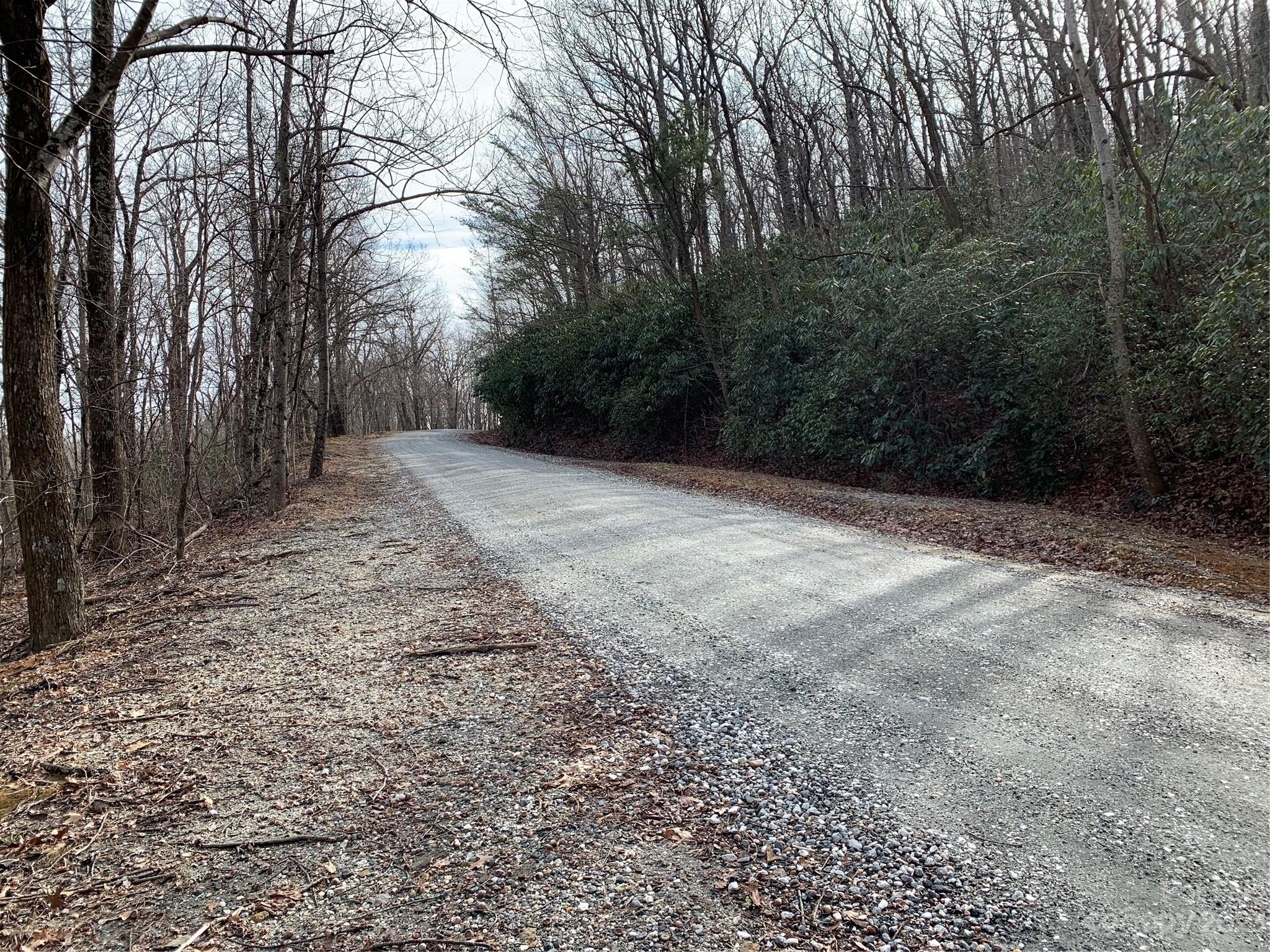 0 Melrose Mountain Road, Unit 615 &616 Tryon, NC 28782 - Photo 8 of 13