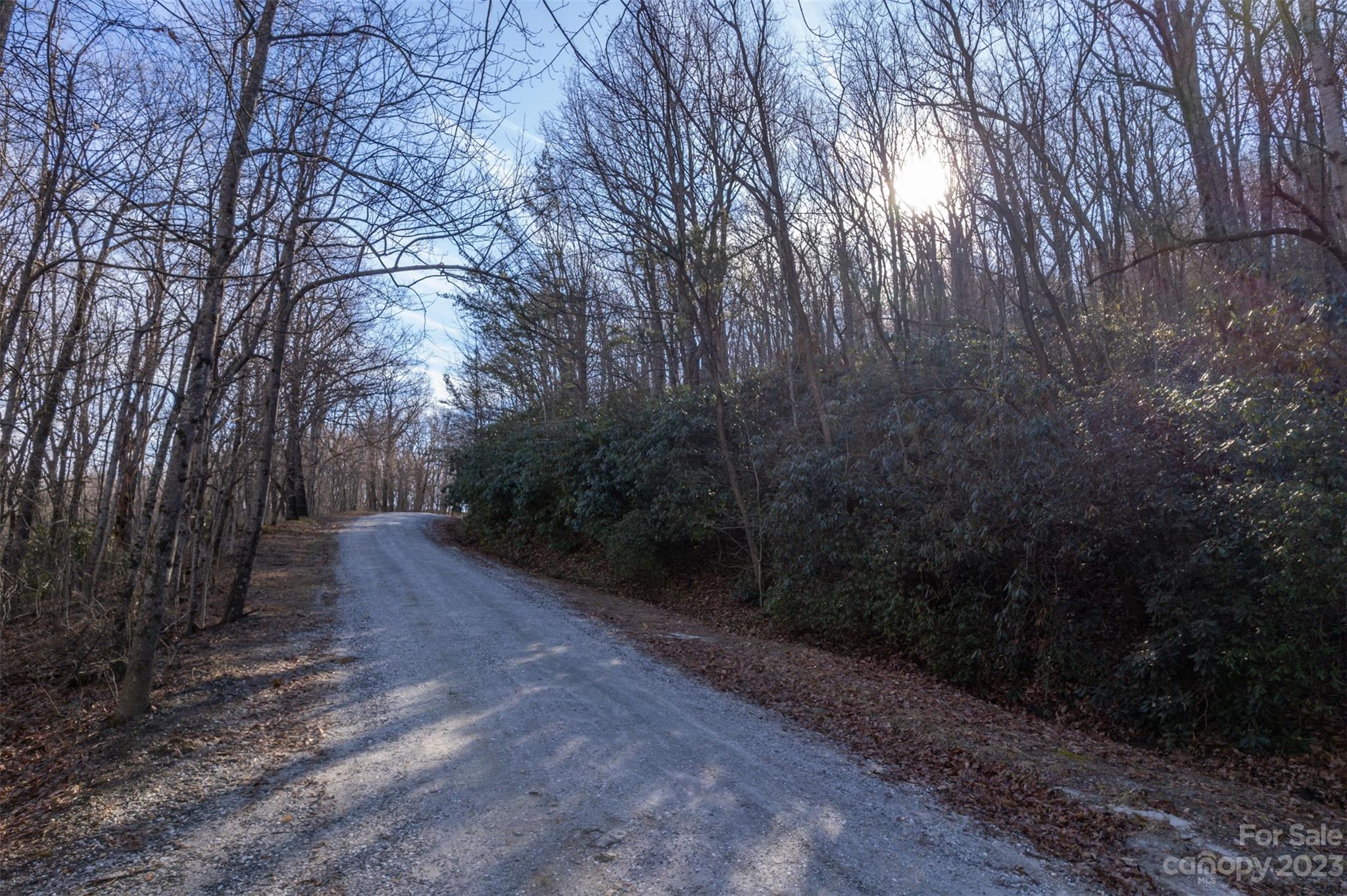 0 Melrose Mountain Road, Unit 615 &616 Tryon, NC 28782 - Photo 9 of 13