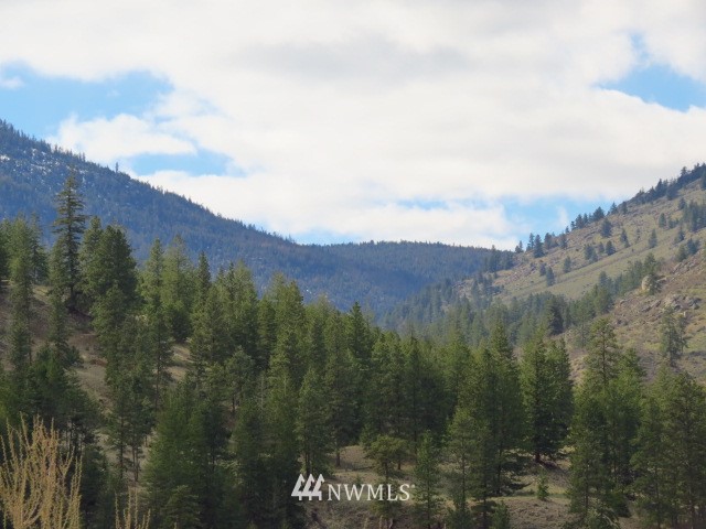 0 Toats Coulee Road Loomis, WA 98827 - Photo 14 of 14