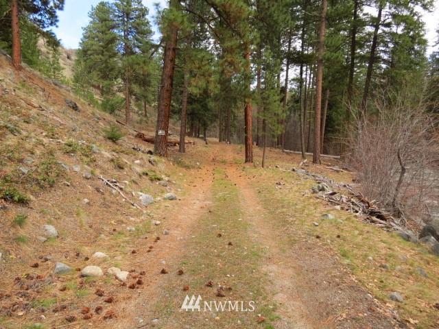0 Toats Coulee Road Loomis, WA 98827 - Photo 8 of 14