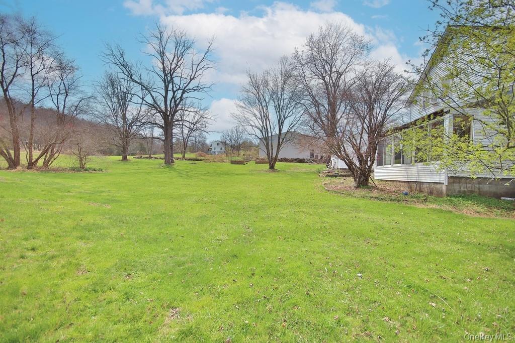 487 Black Meadow Road Chester, NY 10918 - Photo 10 of 49