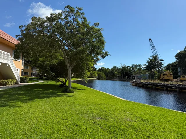 a view of a swimming pool with a garden and trees