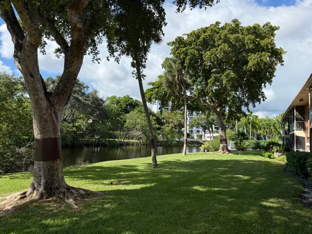 a garden view with a fountain