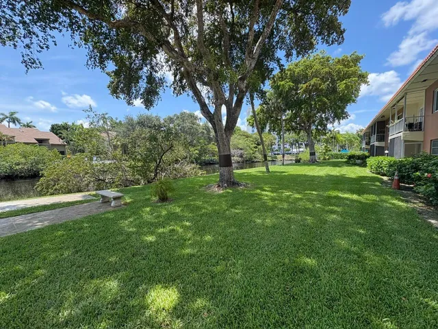 a view of a park with a tree
