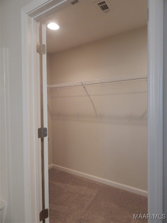 216 Gritney Road Daleville, AL 36322 - Photo 38 of 65 Main Walk-in closet