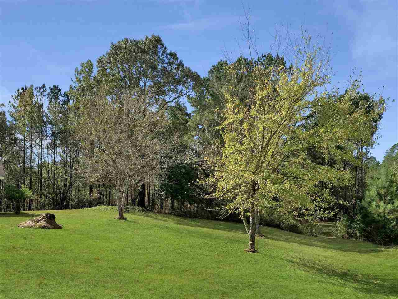 2022 Bywy Road Ackerman, MS 39735 - Photo 1 of 8 Photo 1