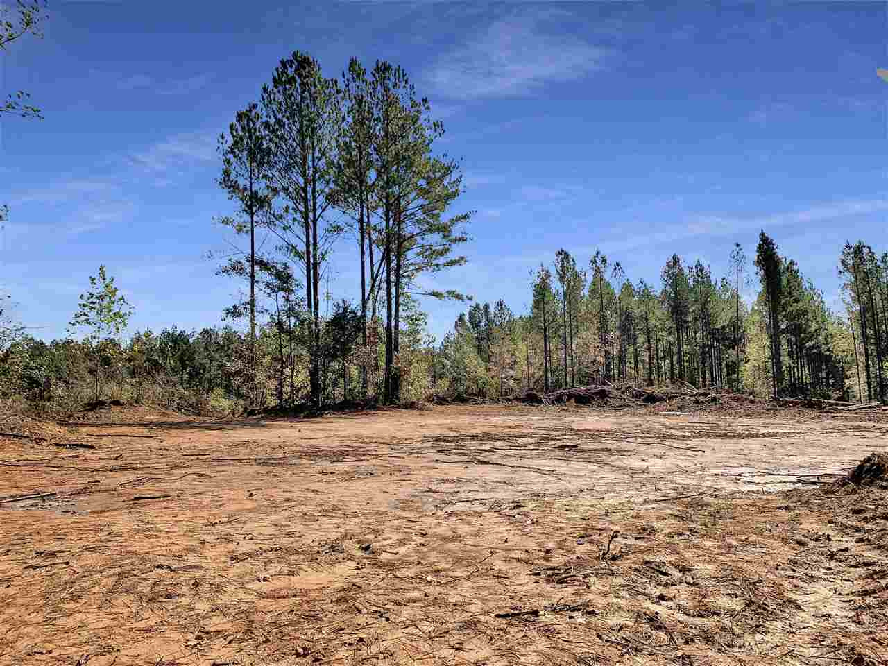 2022 Bywy Road Ackerman, MS 39735 - Photo 2 of 8 Photo 2