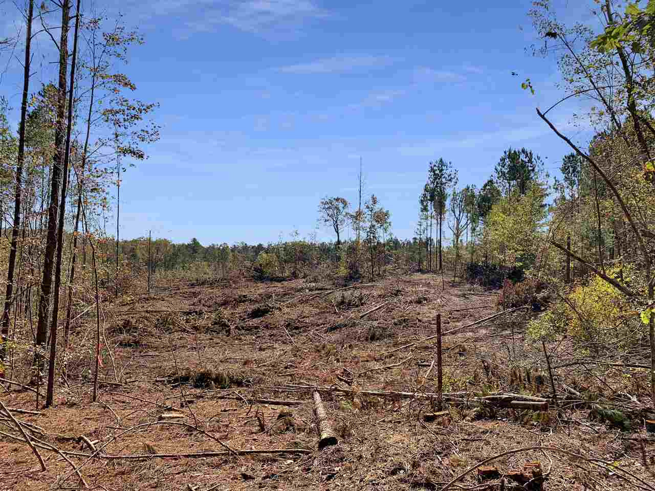 2022 Bywy Road Ackerman, MS 39735 - Photo 3 of 8 Photo 3