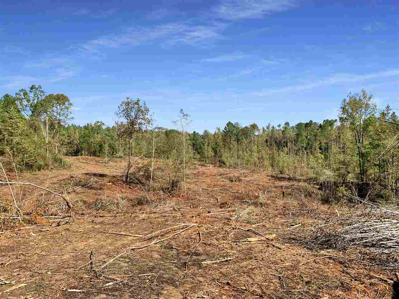 2022 Bywy Road Ackerman, MS 39735 - Photo 4 of 8 Photo 4
