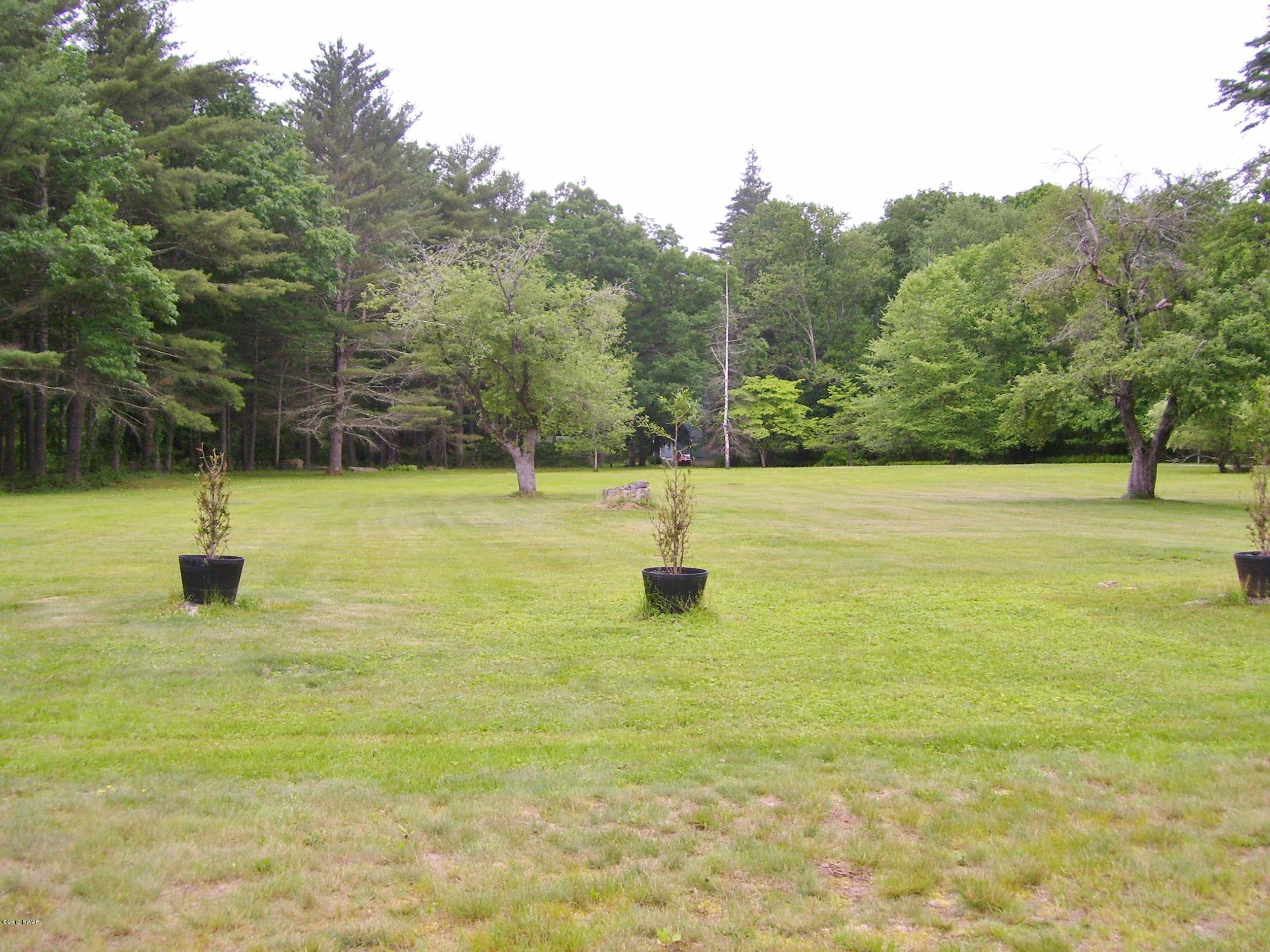 435 Engvaldsen Road Hawley, PA 18428 - Photo 54 of 58 Yard