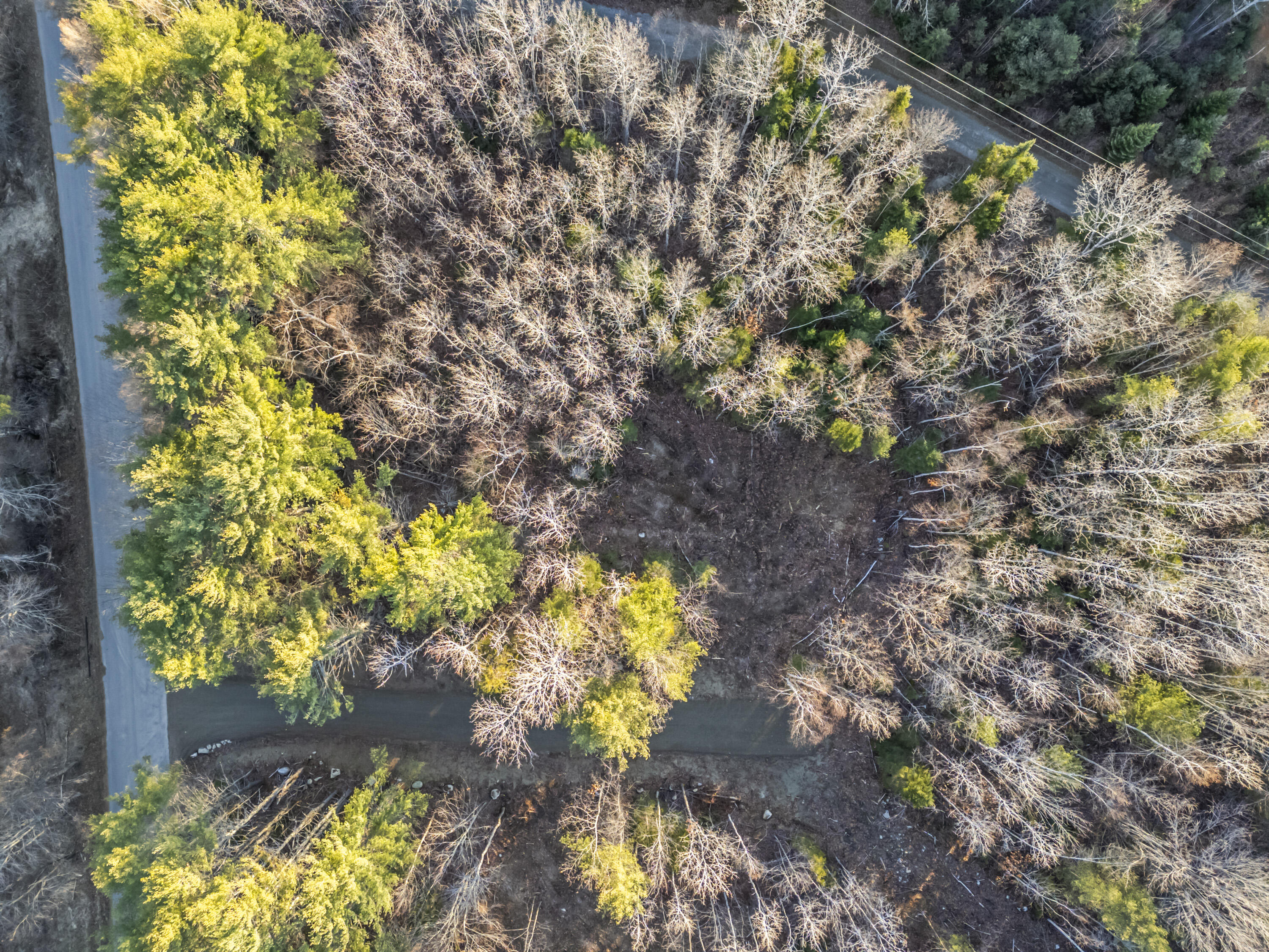 Lot 2 Hostile Valley Road Palermo, ME 04354 - Photo 2 of 34 113 - LOT 2