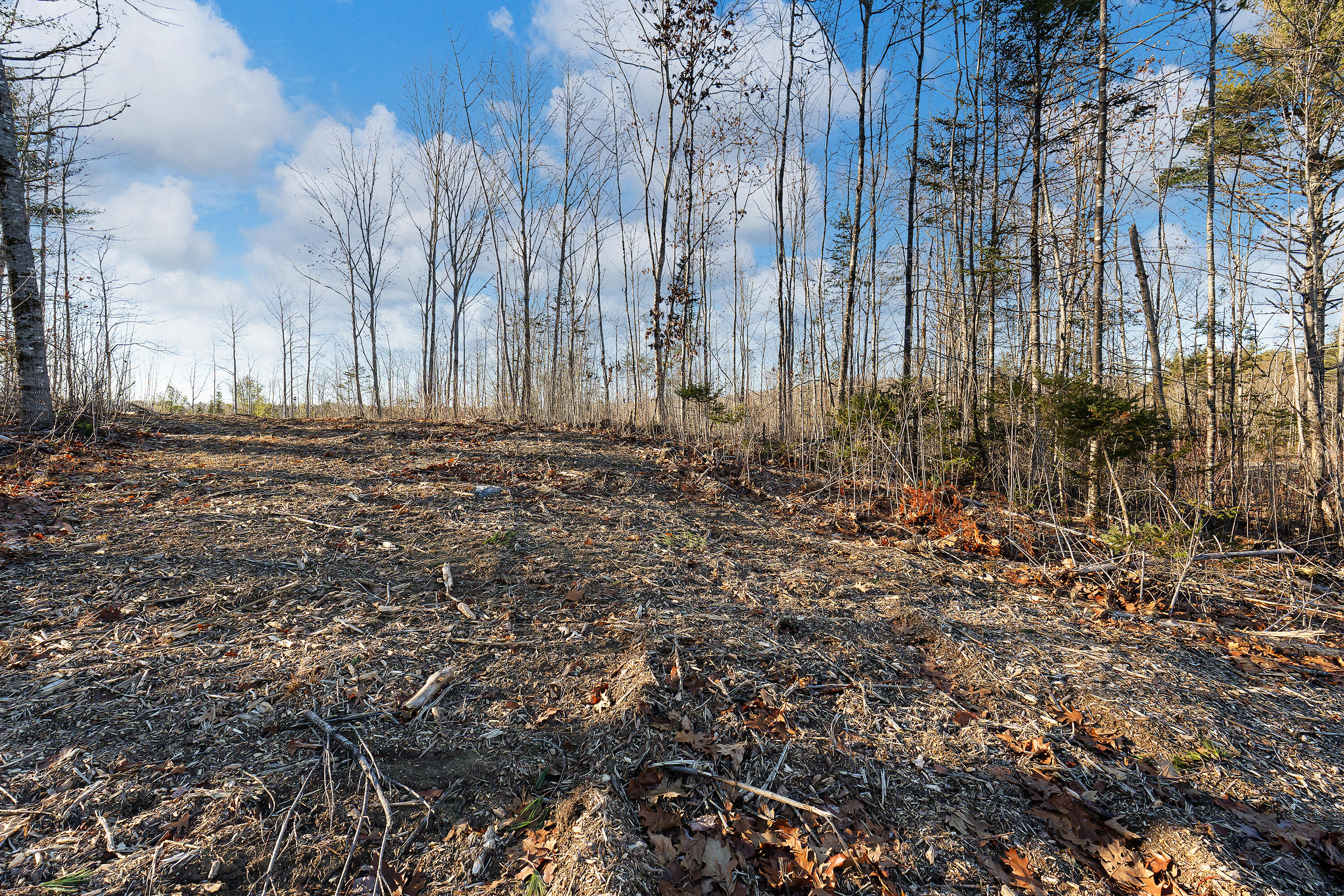 Lot 2 Hostile Valley Road Palermo, ME 04354 - Photo 5 of 37 0150 - Lot 02