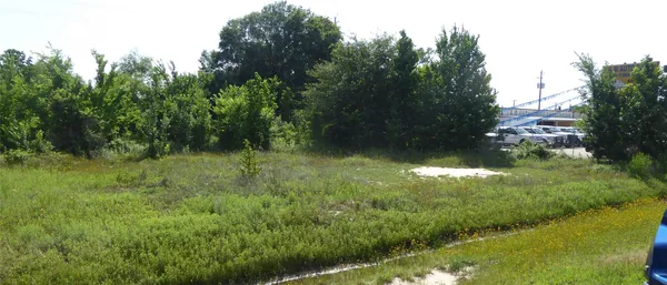a view of outdoor space and yard