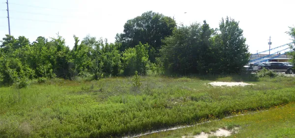 a view of outdoor space and yard