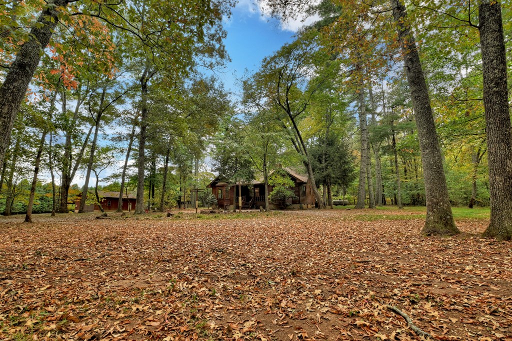 377 Dogwood Way Blue Ridge, GA 30513 - Photo 27 of 37 Gallery Image 27