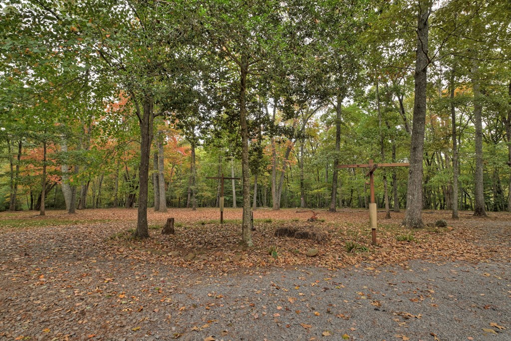 377 Dogwood Way Blue Ridge, GA 30513 - Photo 35 of 37 Gallery Image 35