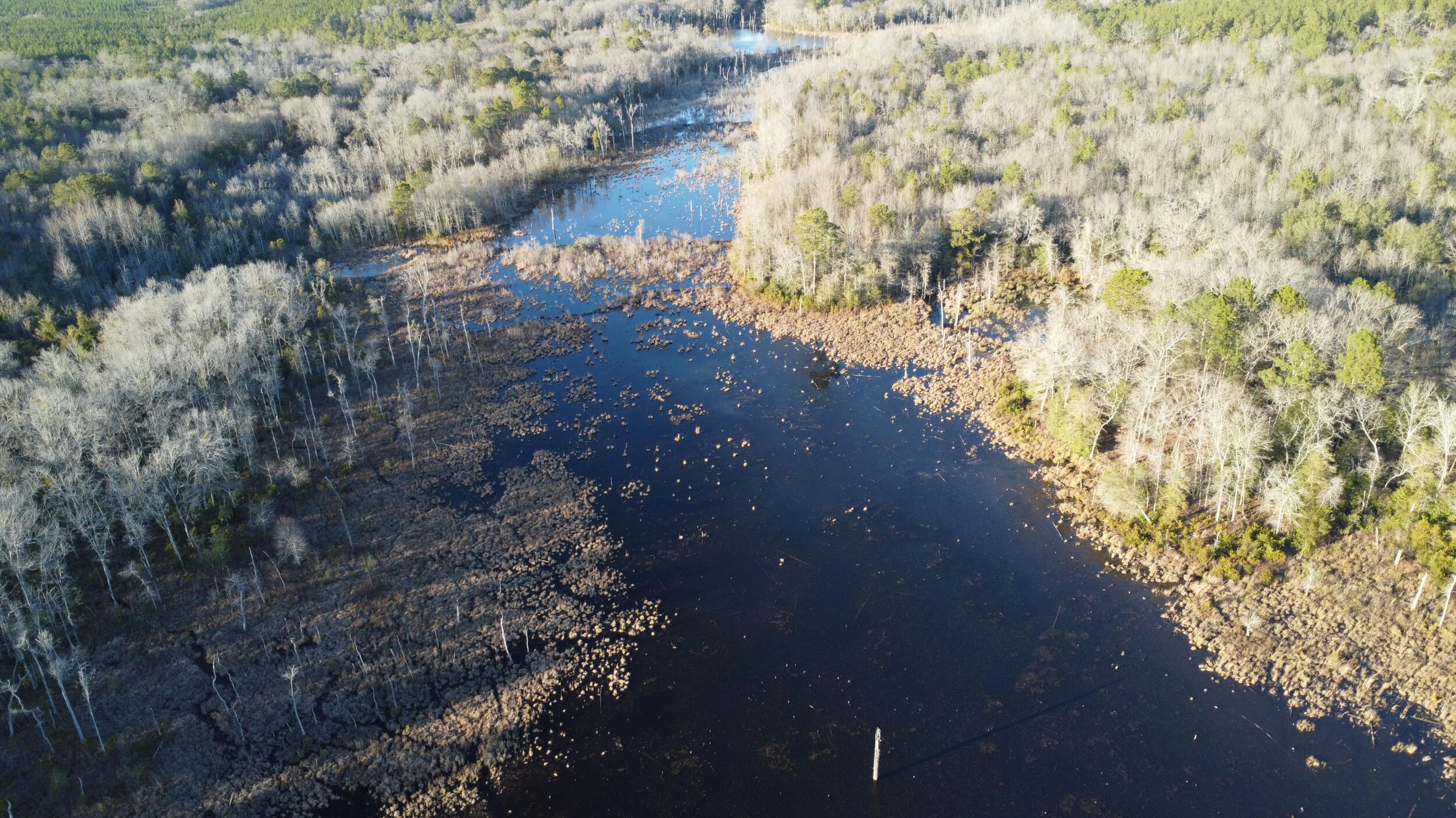 0 Millers Pond Road Salley, SC 29137 - Photo 15 of 28