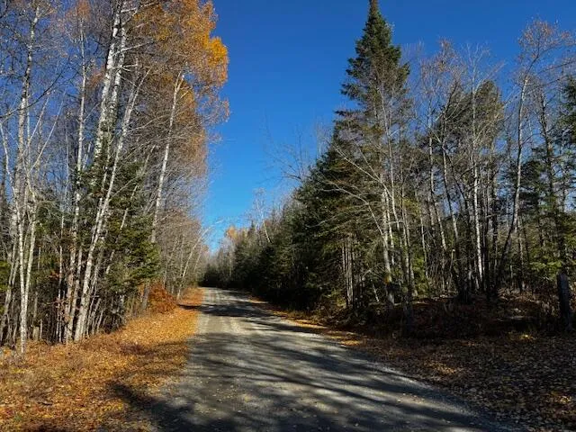 $169,000 | 14 L80 Brighton Road, Bingham, ME 04920