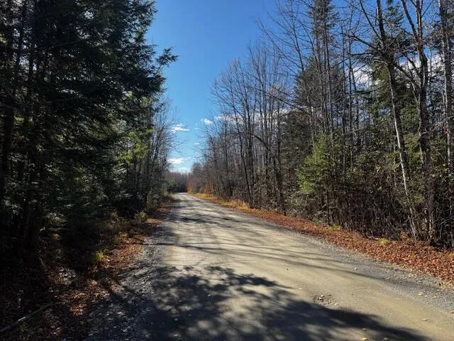 $169,000 | 14 L80 Brighton Road, Bingham, ME 04920