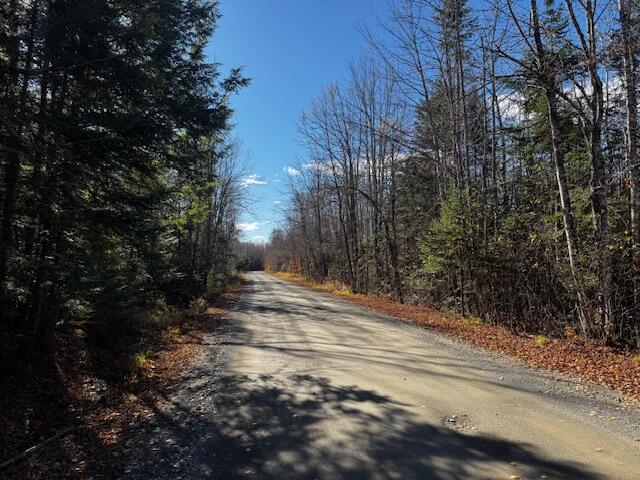 14 L80 Brighton Road Bingham, ME 04920 - Photo 16 of 24 IMG_3878 (1)