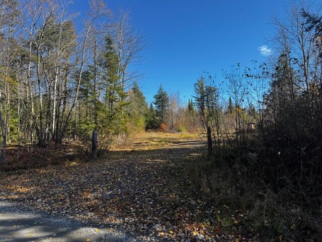 14 L80 Brighton Road Bingham, ME 04920 - Photo 17 of 24 IMG_3877 (1)