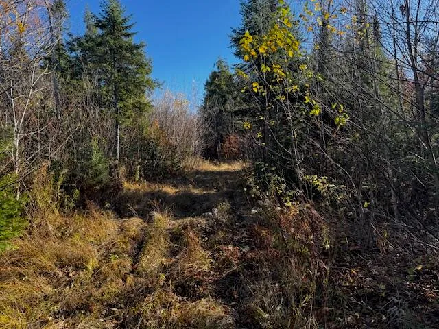 $169,000 | 14 L80 Brighton Road, Bingham, ME 04920