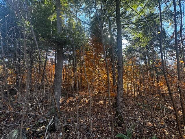 14 L80 Brighton Road Bingham, ME 04920 - Photo 21 of 24 IMG_3889 (1)