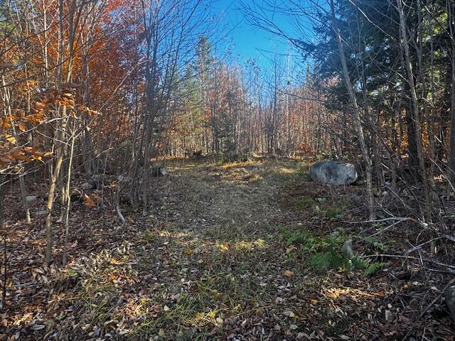 14 L80 Brighton Road Bingham, ME 04920 - Photo 22 of 24 IMG_3890