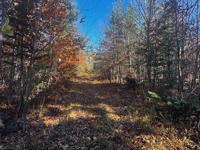 $169,000 | 14 L80 Brighton Road, Bingham, ME 04920