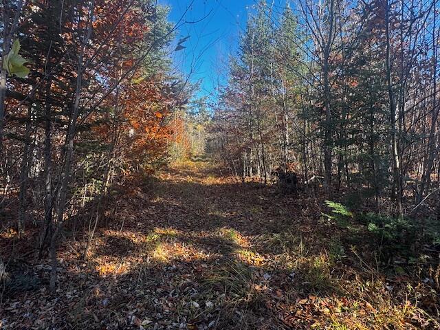 14 L80 Brighton Road Bingham, ME 04920 - Photo 23 of 24 IMG_3891 (1)