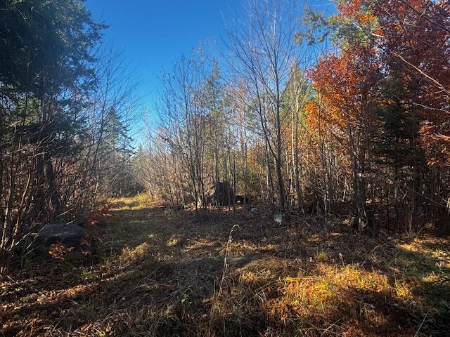 14 L80 Brighton Road Bingham, ME 04920 - Photo 24 of 24 IMG_3892 (1)