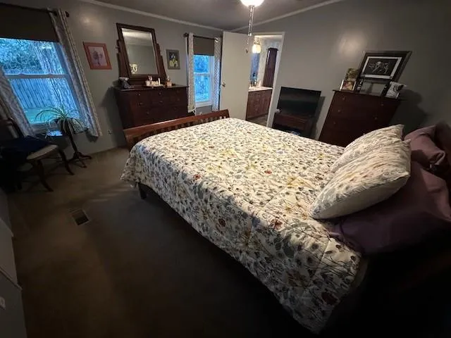 a living room with furniture ceiling fan and a rug