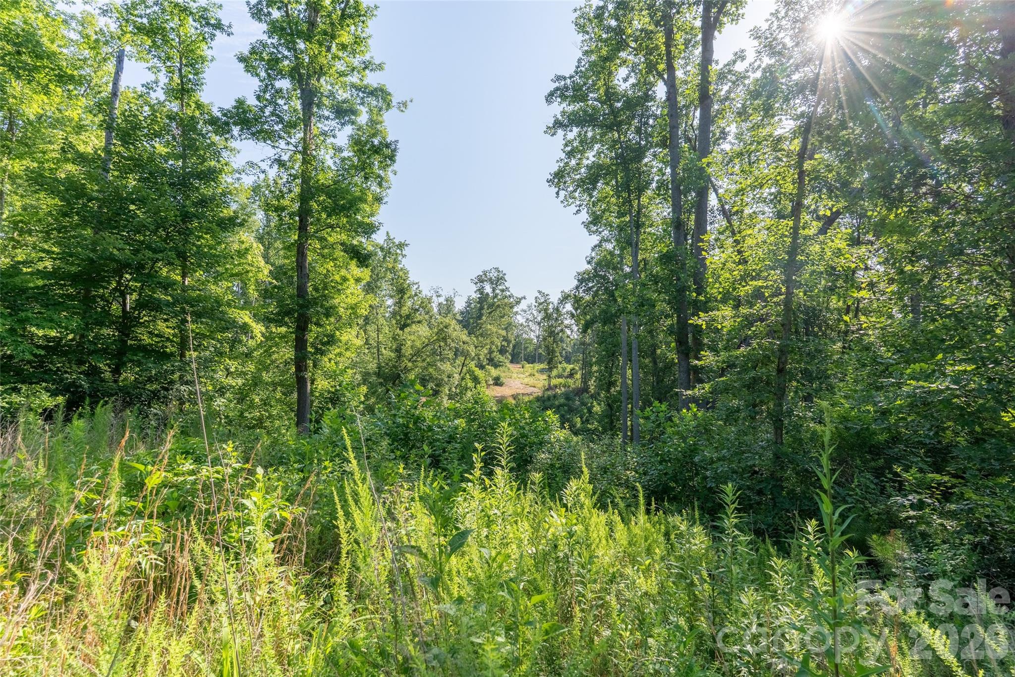 443 Polk County Line Road Rutherfordton, NC 28139 - Photo 10 of 31