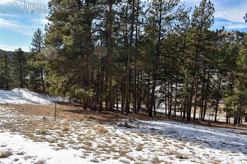 6th Street Guffey, CO 80820 - Photo 19 of 28