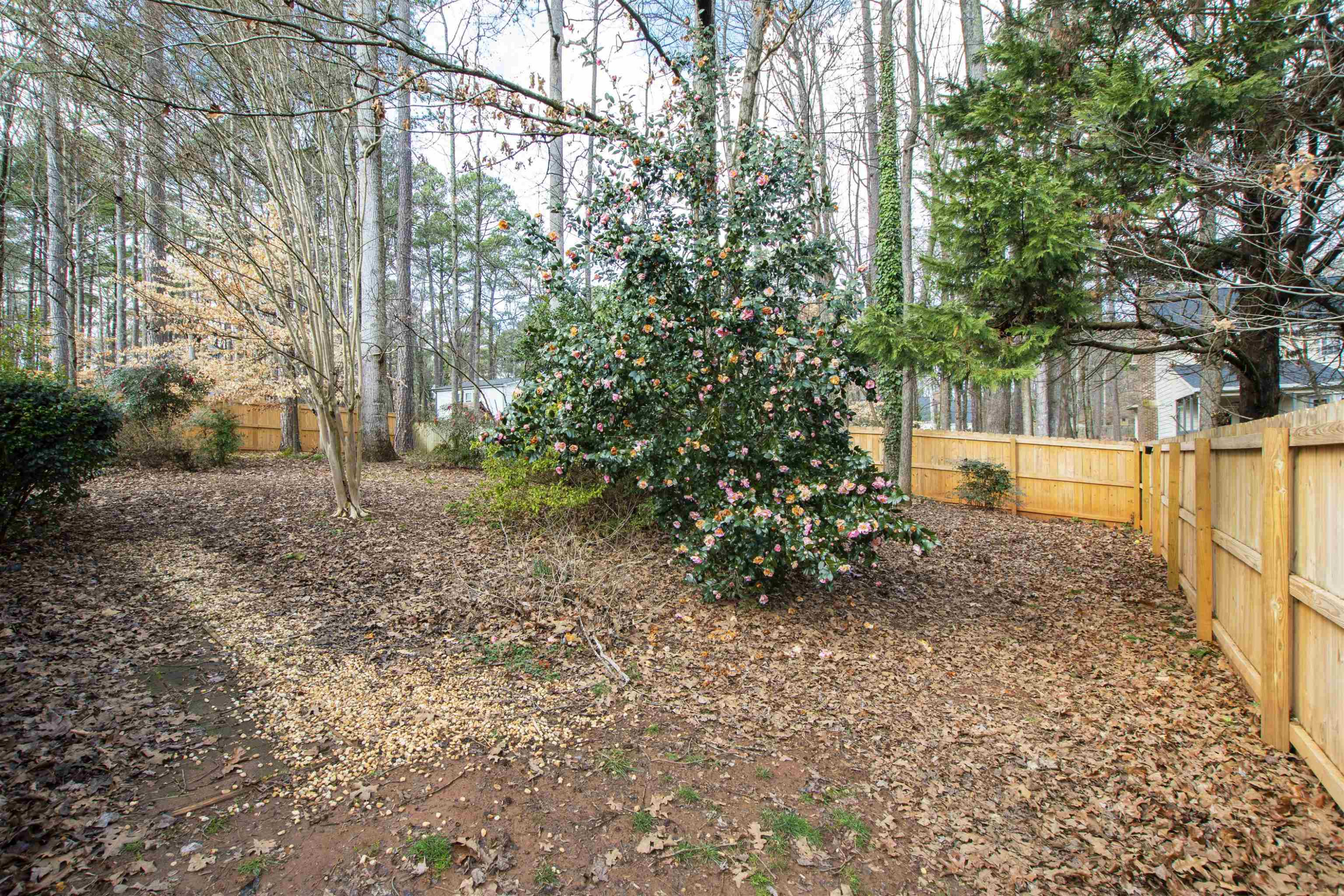 7908 Verona Place Raleigh, NC 27613 - Photo 10 of 40 Exterior Rear