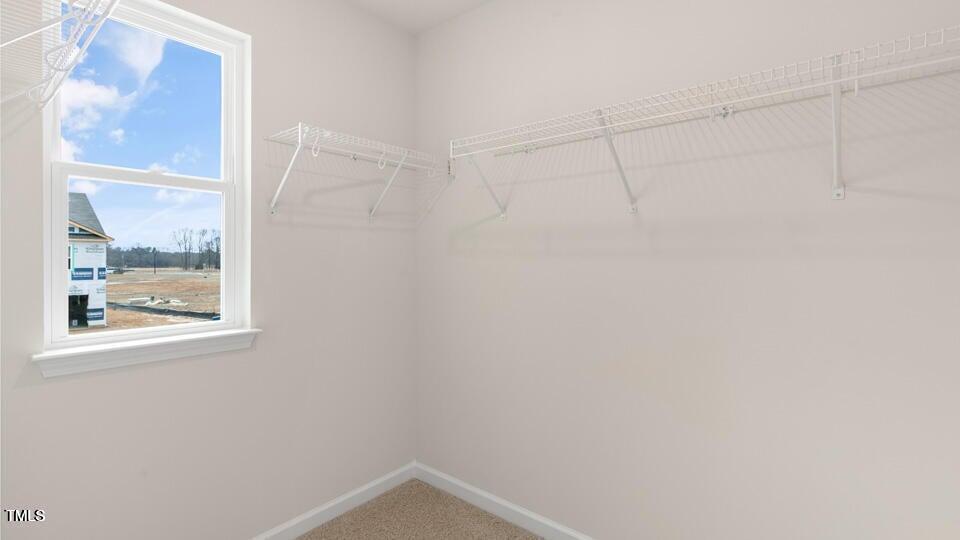 42 Sweet Mdw Road Angier, NC 27501 - Photo 16 of 30 Altamont Closet 12