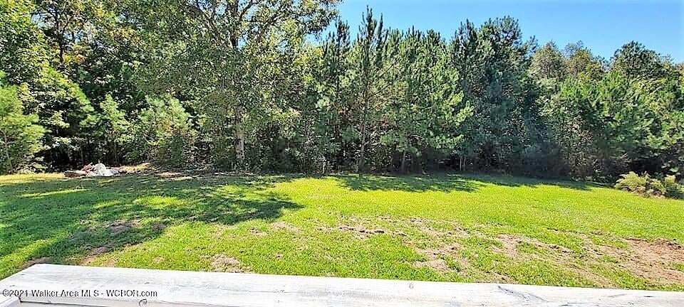 4277 Redmill Saragossa Road Nauvoo, AL 35578 - Photo 7 of 20 Gallery Image 7