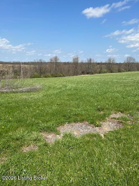 950 Hill Spring Road Pleasureville, KY 40057 - Photo 33 of 37 IMG_7732