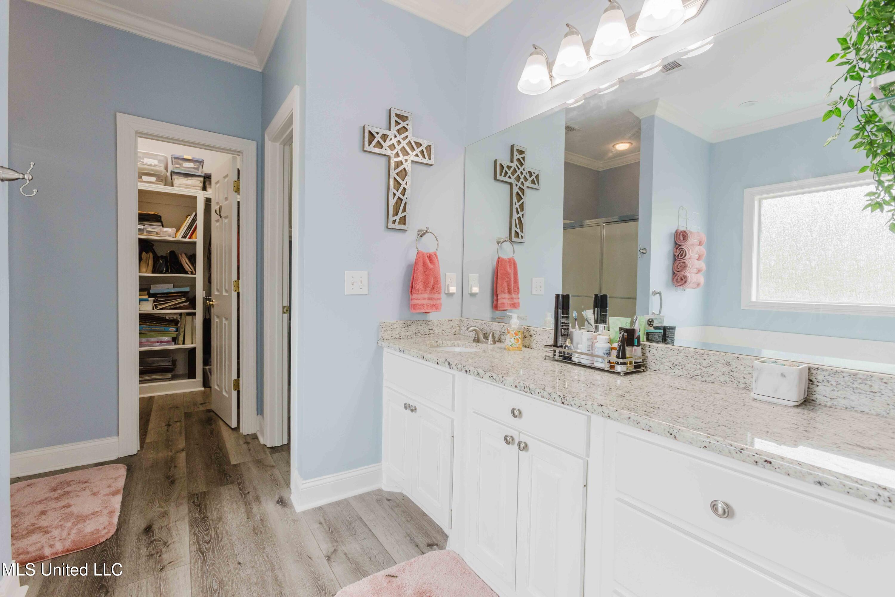 263 Lighthouse Lane Brandon, MS 39047 - Photo 18 of 30 watsonphotography260209112633