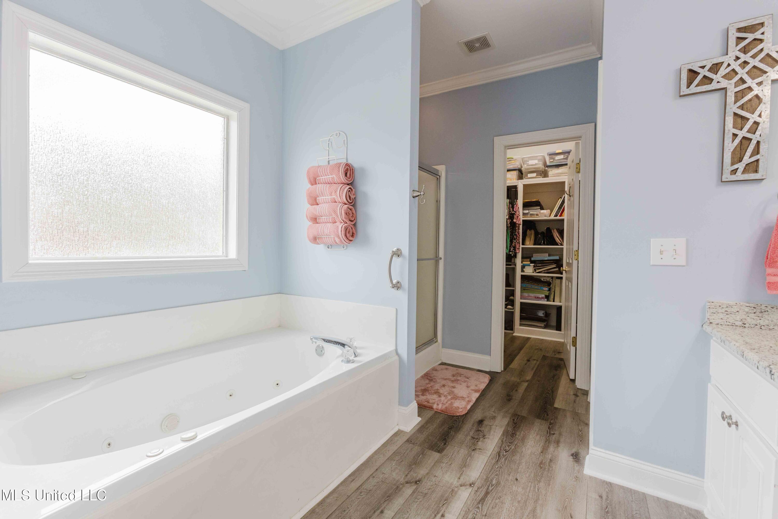 263 Lighthouse Lane Brandon, MS 39047 - Photo 19 of 30 watsonphotography260209112625