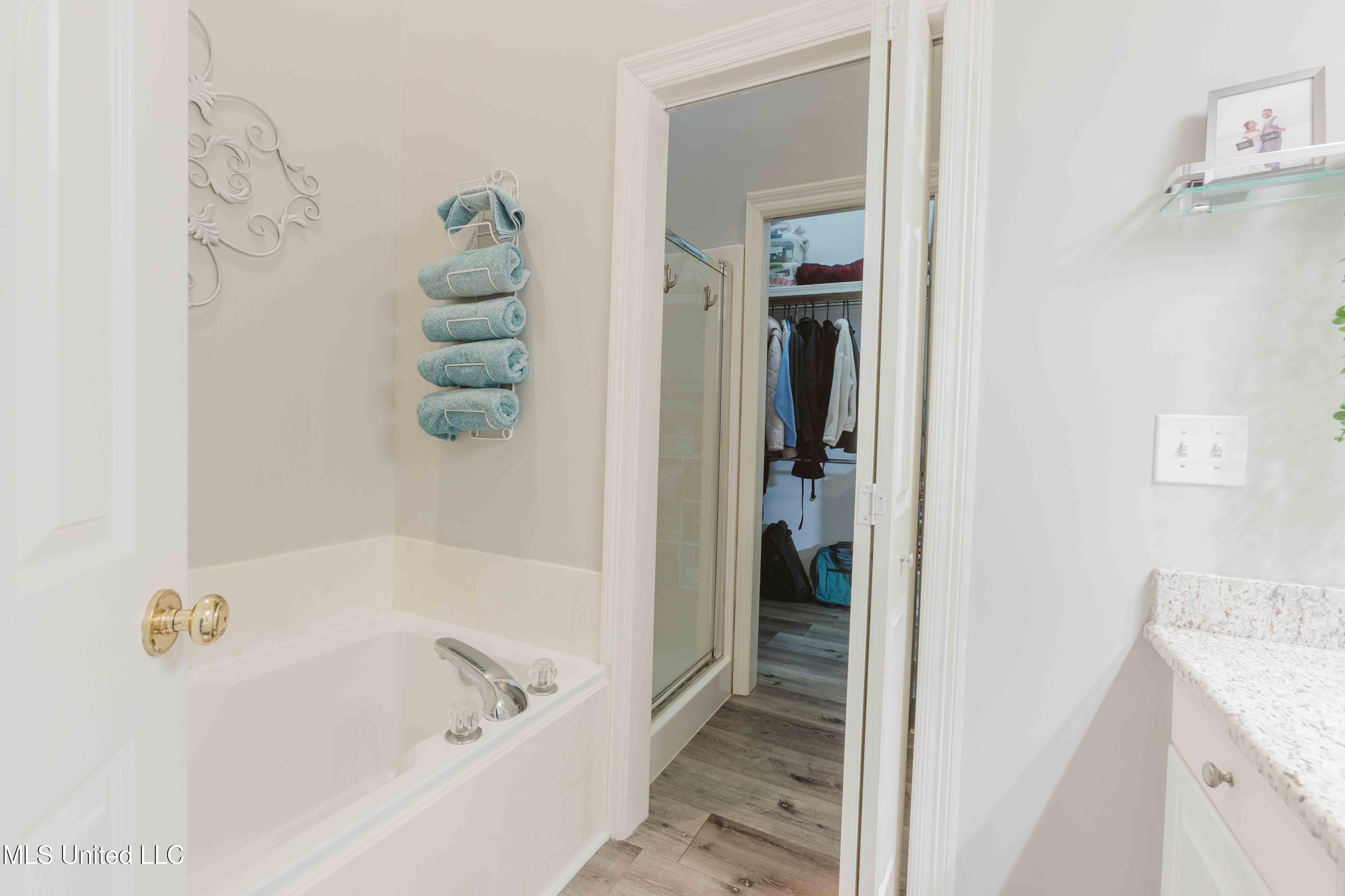 263 Lighthouse Lane Brandon, MS 39047 - Photo 26 of 30 watsonphotography260209111953