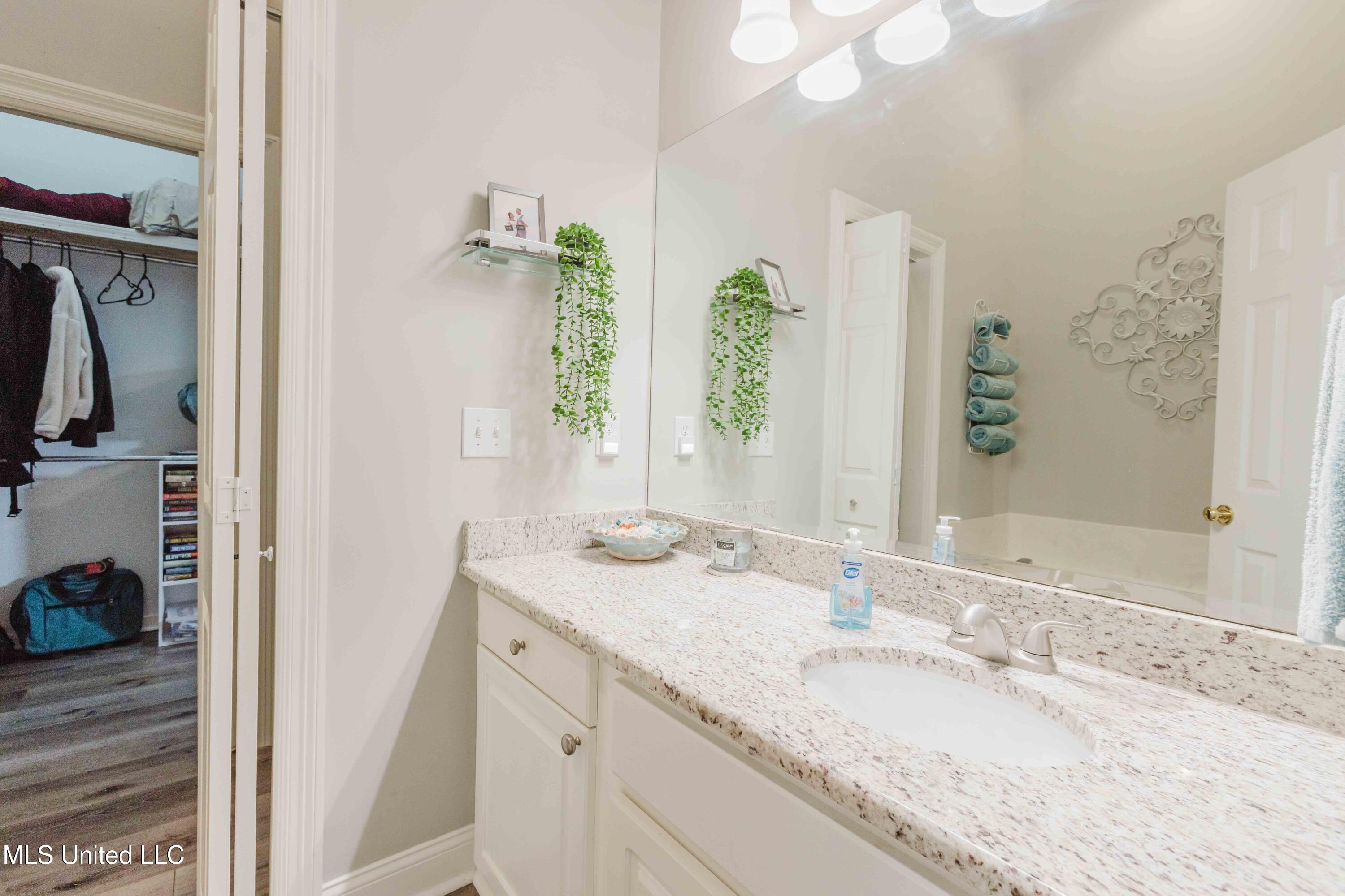 263 Lighthouse Lane Brandon, MS 39047 - Photo 27 of 30 watsonphotography260209112010