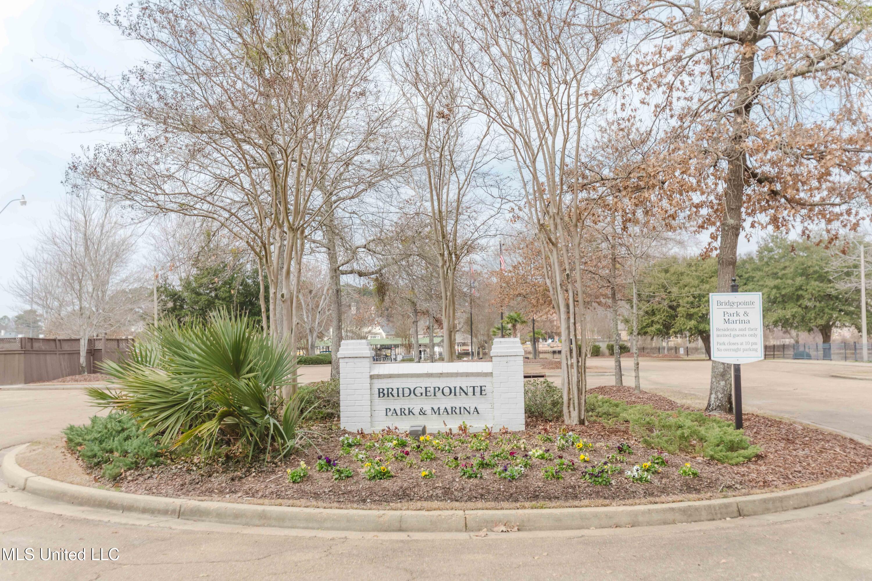 263 Lighthouse Lane Brandon, MS 39047 - Photo 28 of 30 watsonphotography260209125855