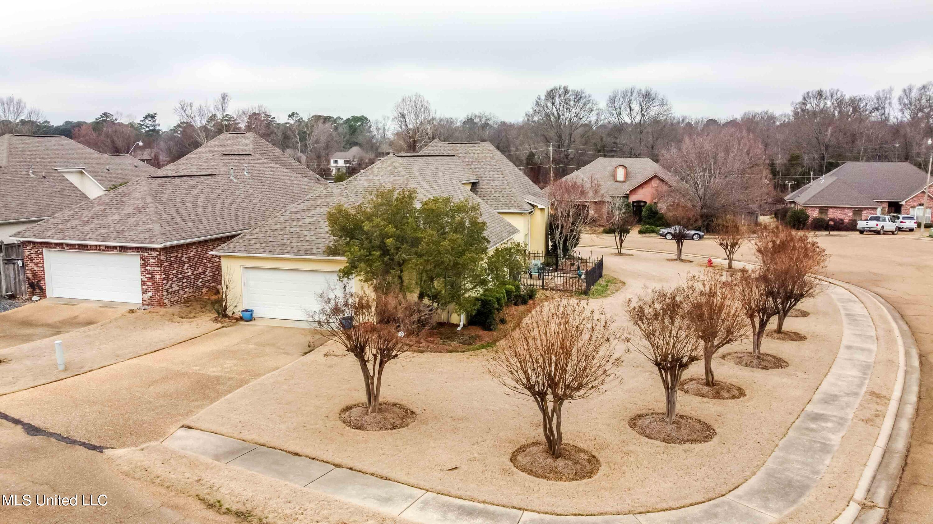 263 Lighthouse Lane Brandon, MS 39047 - Photo 5 of 30 watsonphotography260209104817