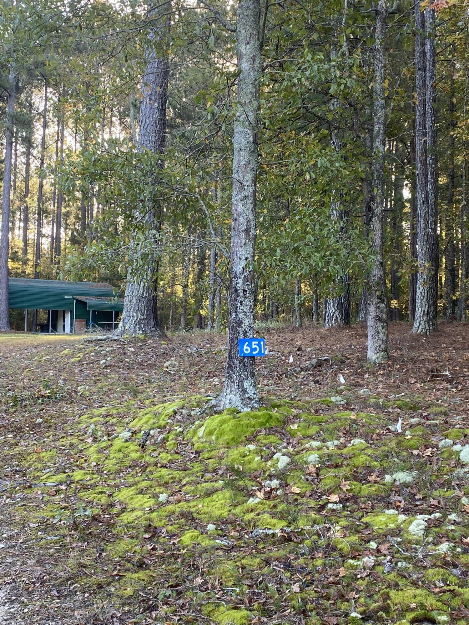 651 Cronan Road Norwood, GA 30821 - Photo 18 of 24 20