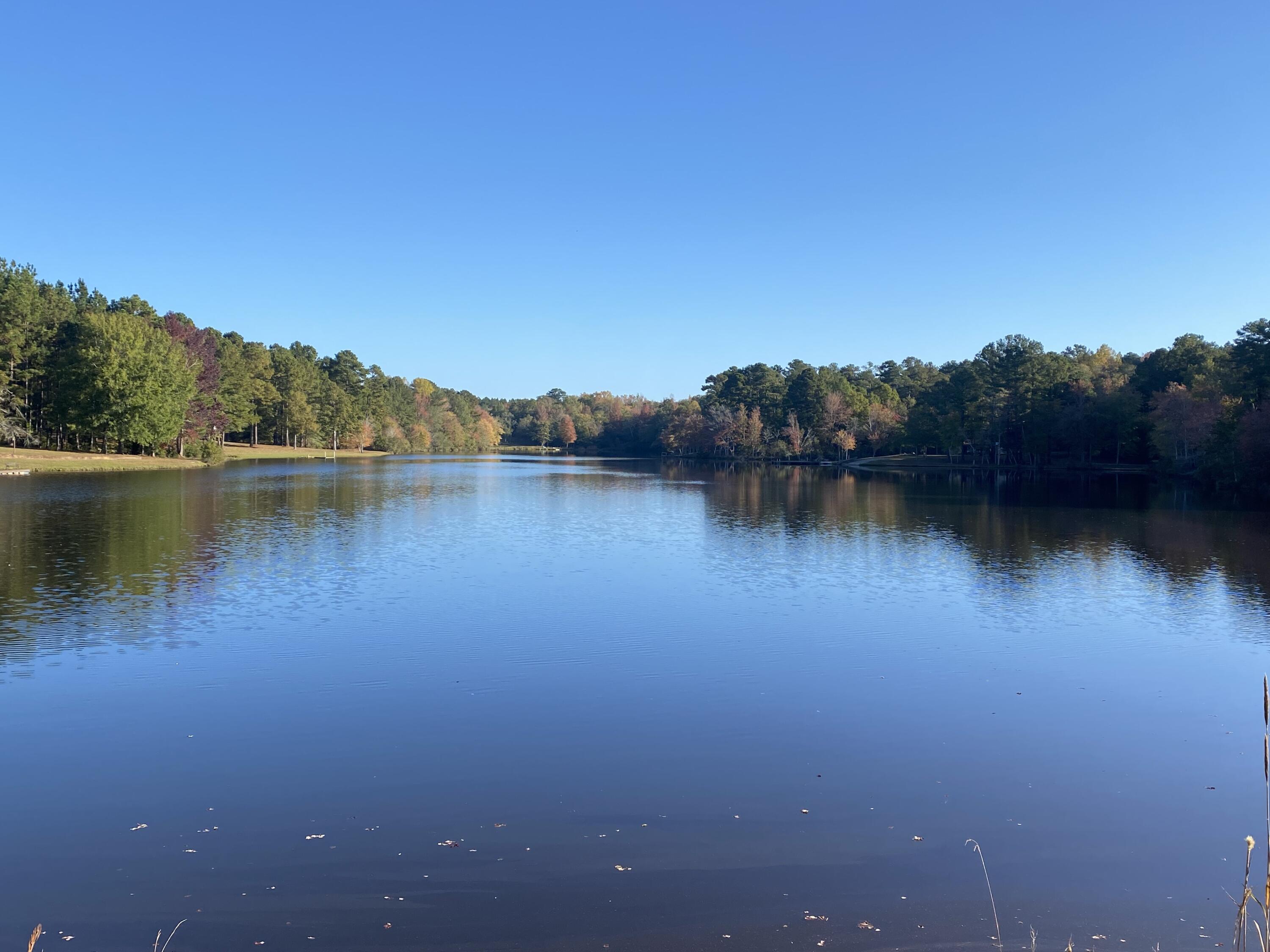 651 Cronan Road Norwood, GA 30821 - Photo 9 of 24 Beautiful water front views!