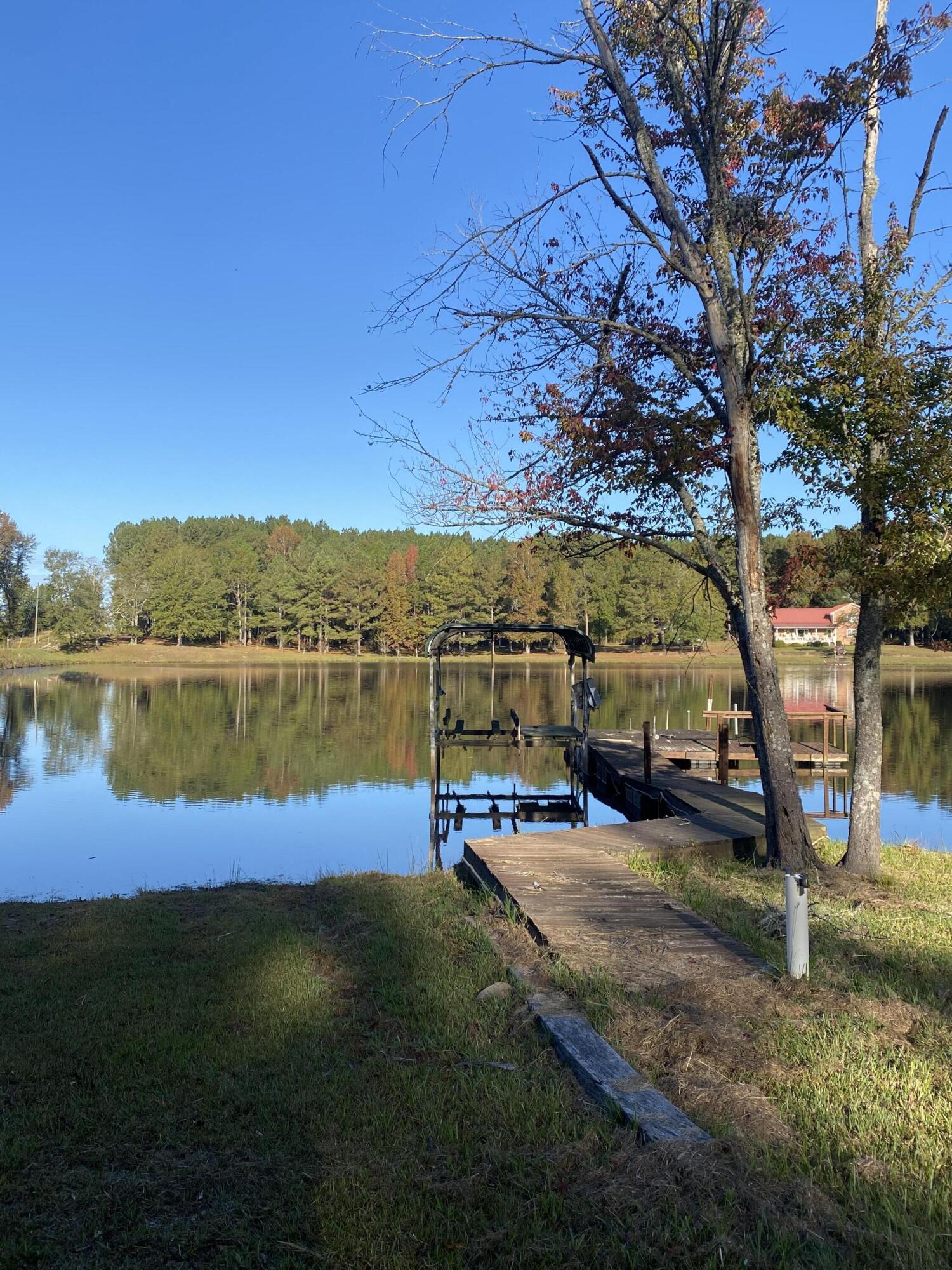 651 Cronan Road Norwood, GA 30821 - Photo 10 of 24 Boat Dock