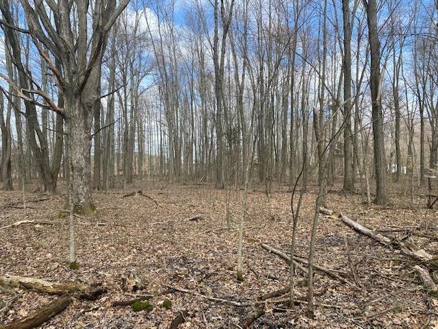 0 Steiman Road, Unit 11AC Sardinia, OH 45171 - Photo 13 of 25 Gallery Image 13